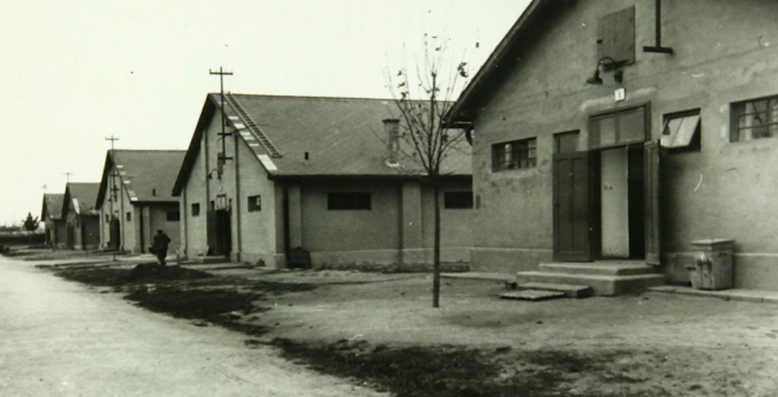 tabor sered